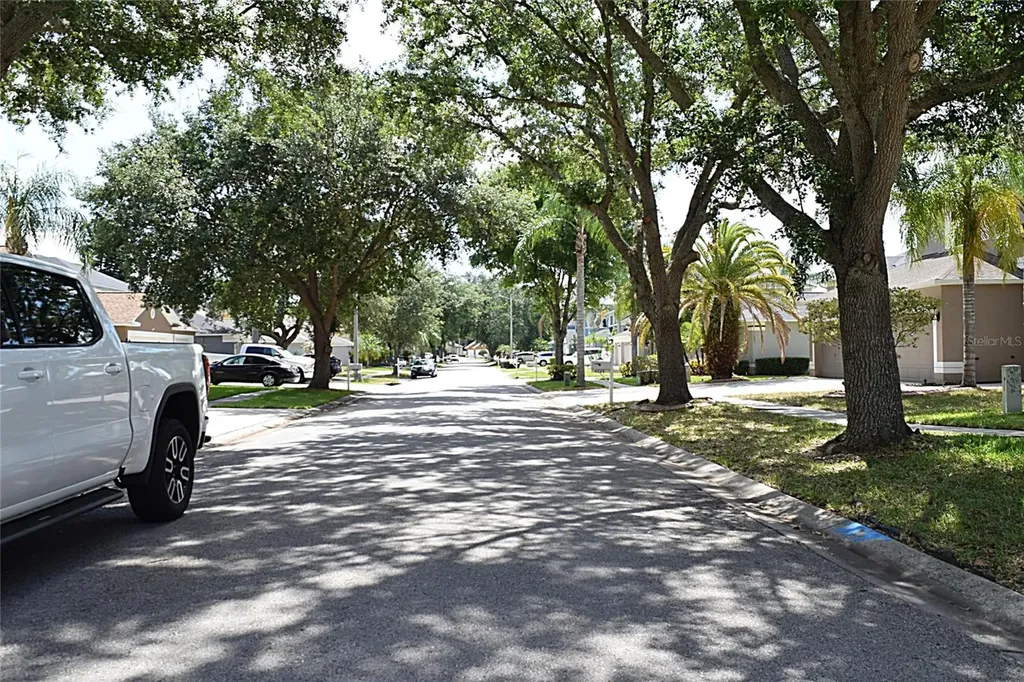 4222 Balington Drive Valrico FL 33596