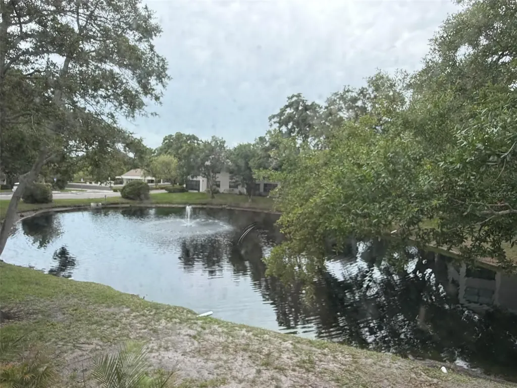 2150 Elm Street Dunedin FL 34698