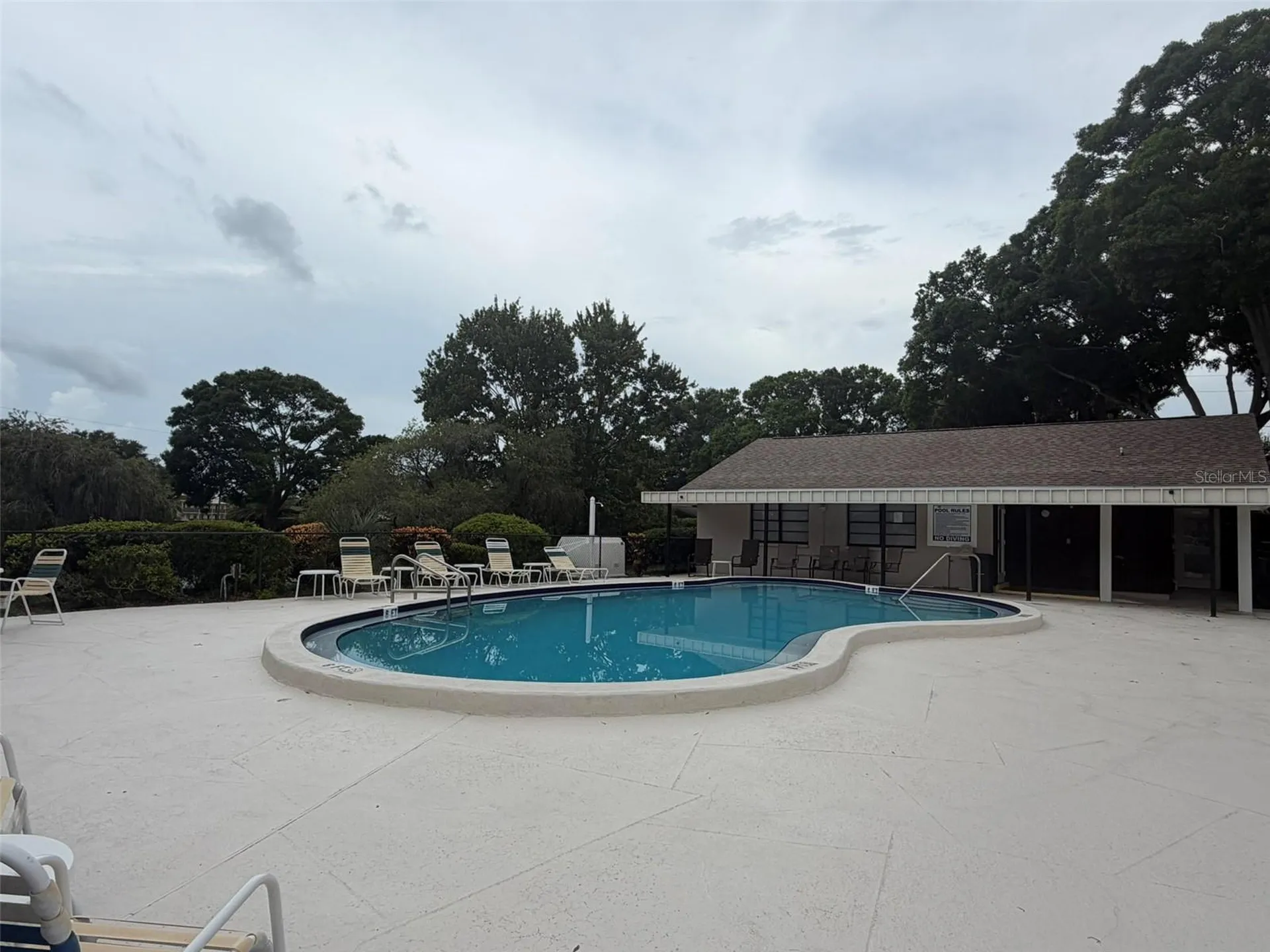 2150 Elm Street Dunedin FL 34698