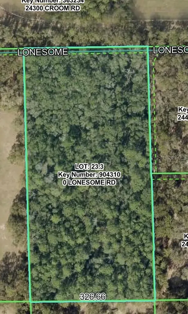 Lonesome Road Brooksville FL 34601