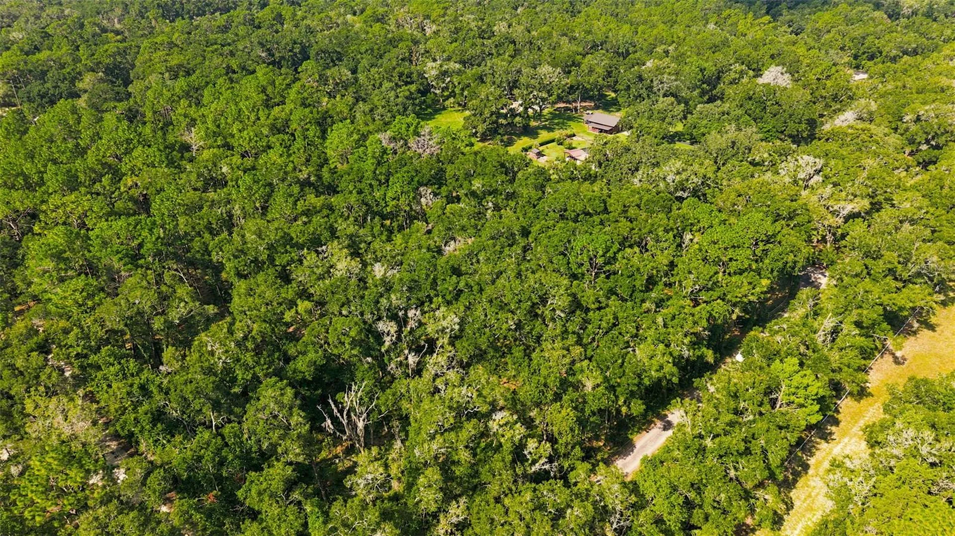 Lonesome Road Brooksville FL 34601