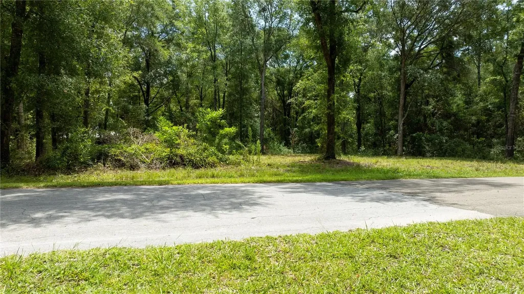 000 NE 155th Court Williston FL 32696