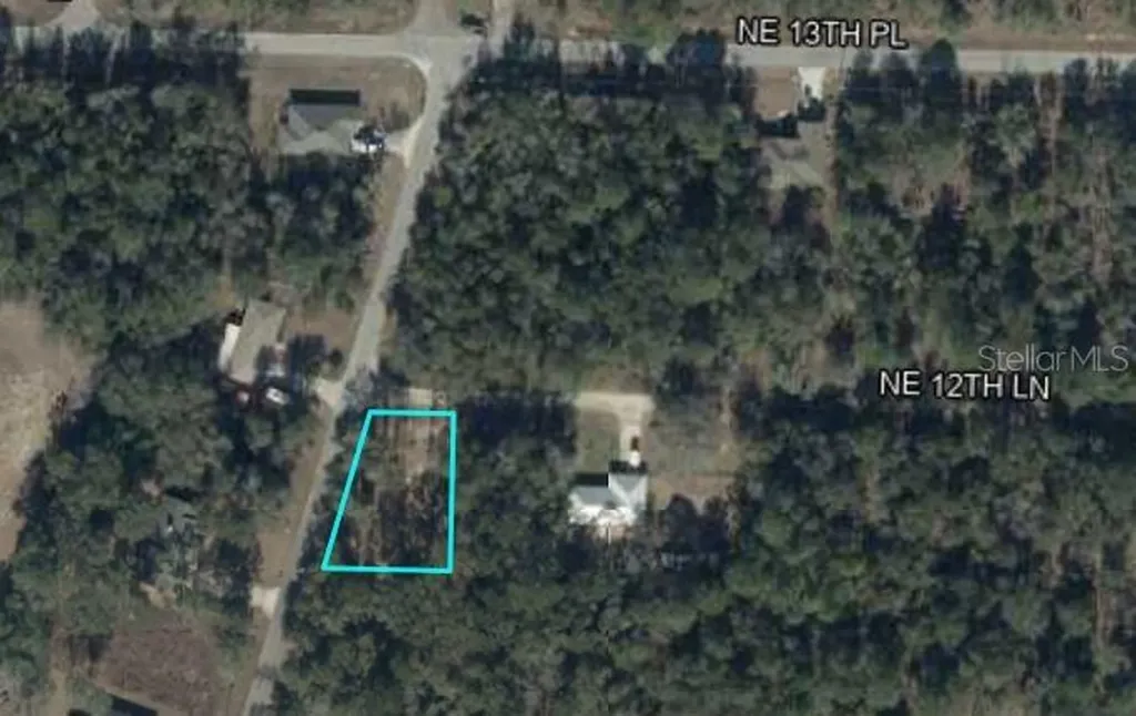 000 NE 155th Court Williston FL 32696