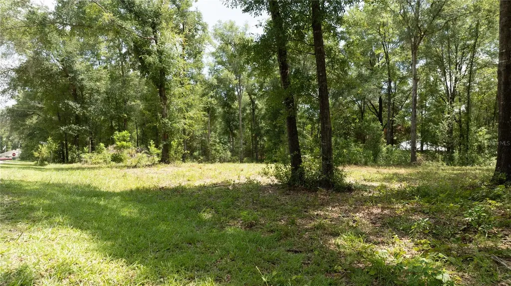 000 NE 155th Court Williston FL 32696