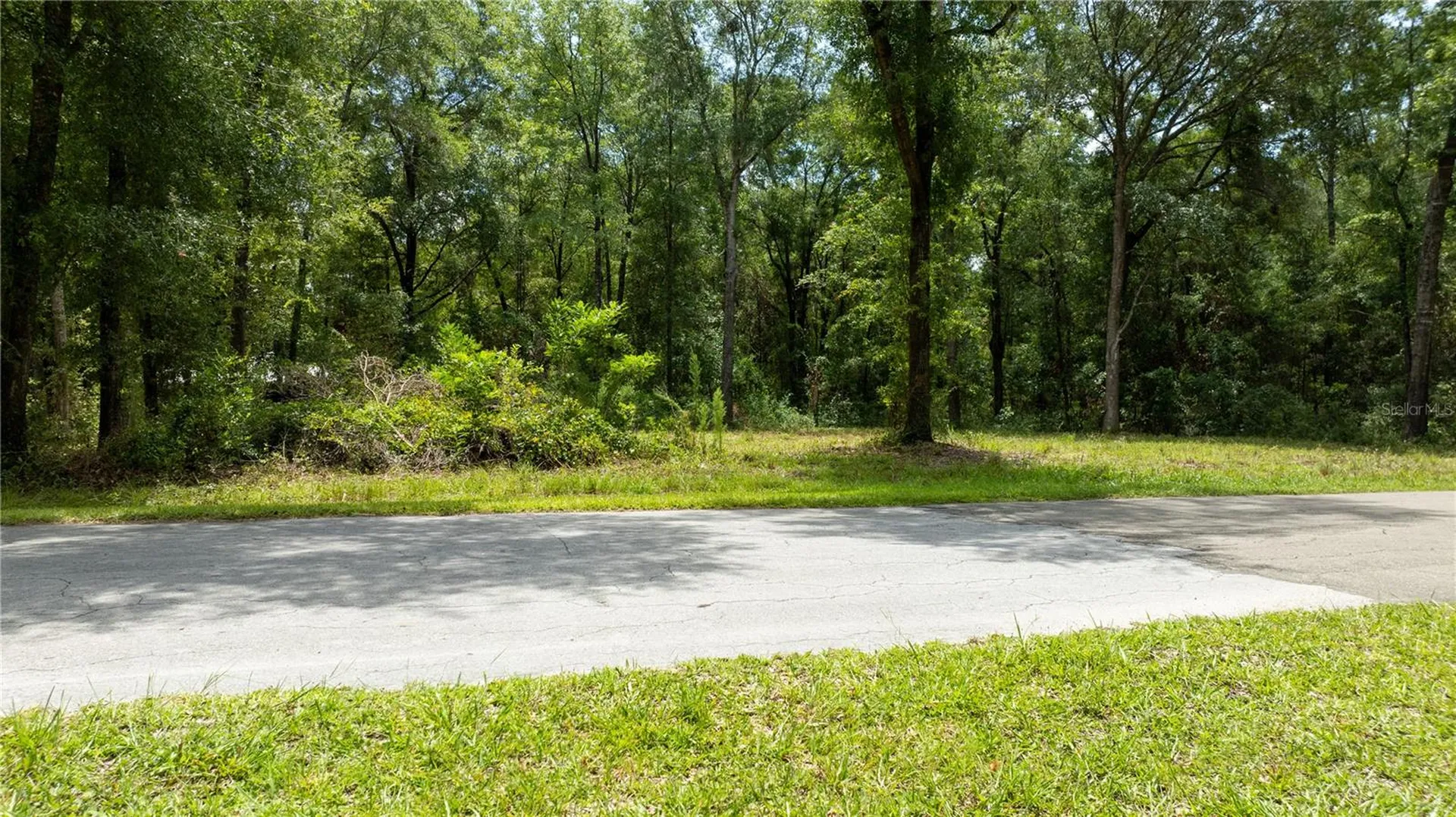 000 NE 155th Court Williston FL 32696