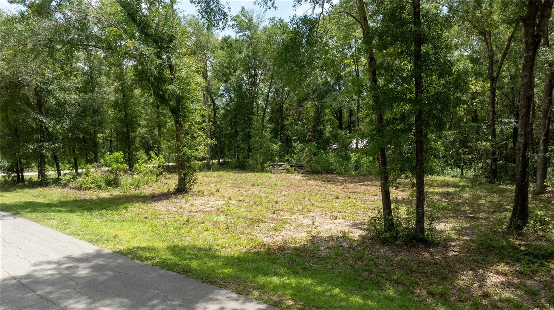 000 NE 155th Court Williston FL 32696