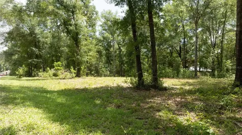 000 NE 155th Court Williston FL 32696