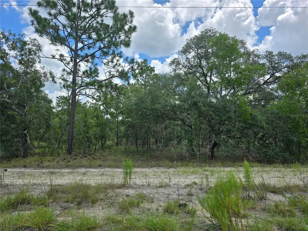 00000 SE 130th Ave, Dunnellon FL 34431