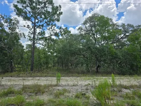 00000 SE 130th Ave, Dunnellon FL 34431