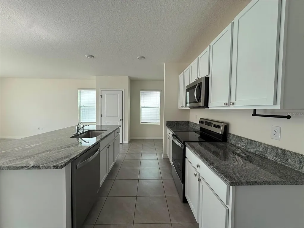 2763 Common Fig Run Wesley Chapel FL 33543