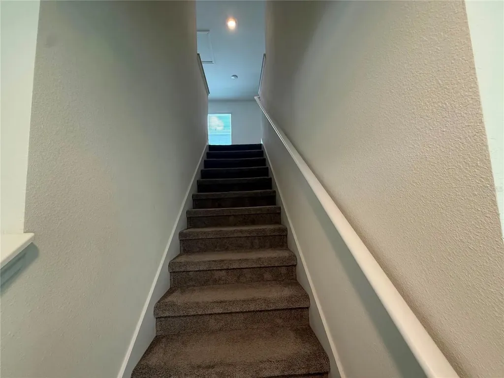 2763 Common Fig Run Wesley Chapel FL 33543