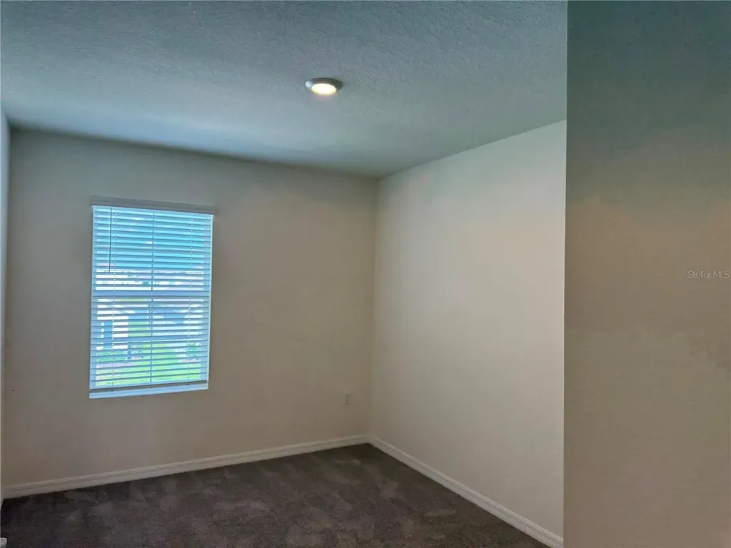 2763 Common Fig Run Wesley Chapel FL 33543