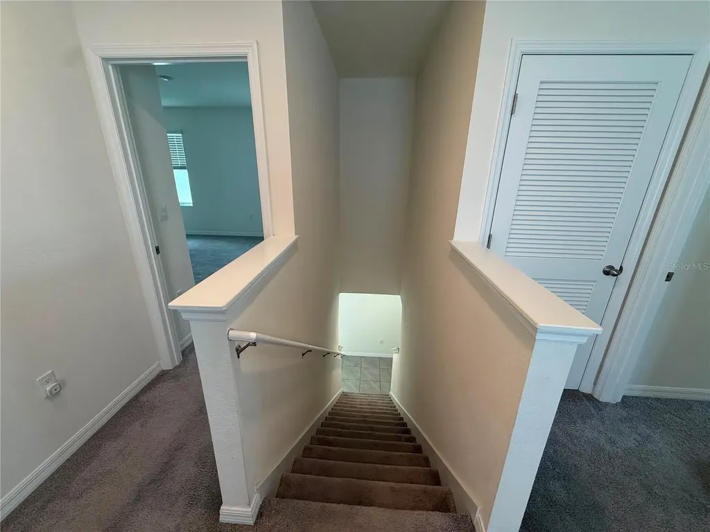2763 Common Fig Run Wesley Chapel FL 33543
