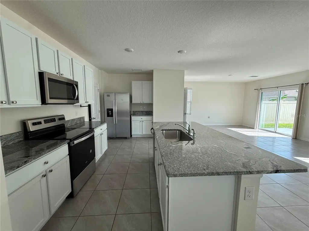 2763 Common Fig Run Wesley Chapel FL 33543