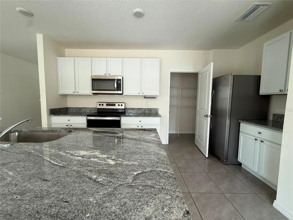 2763 Common Fig Run Wesley Chapel FL 33543