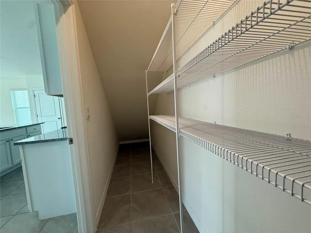 2763 Common Fig Run Wesley Chapel FL 33543