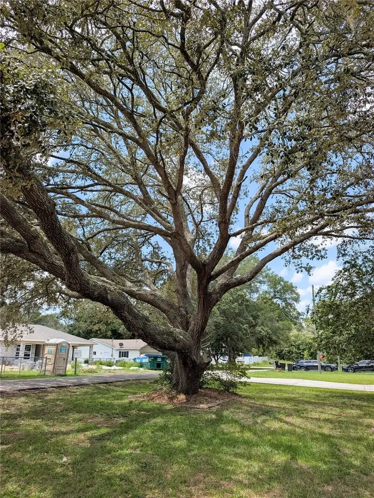 20167 SW 81st Street Dunnellon FL 34431