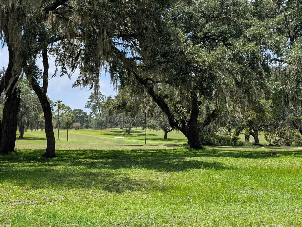 20167 SW 81st Street Dunnellon FL 34431