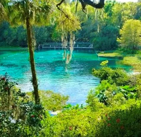 20167 SW 81st Street Dunnellon FL 34431