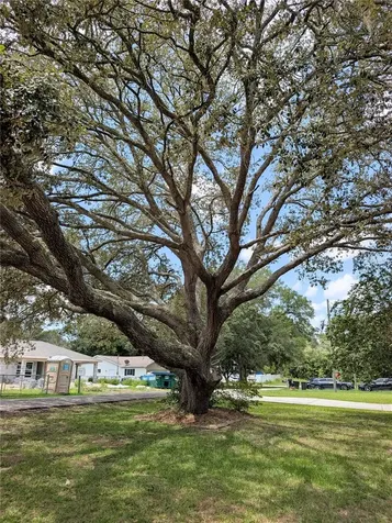 20167 SW 81st Street Dunnellon FL 34431