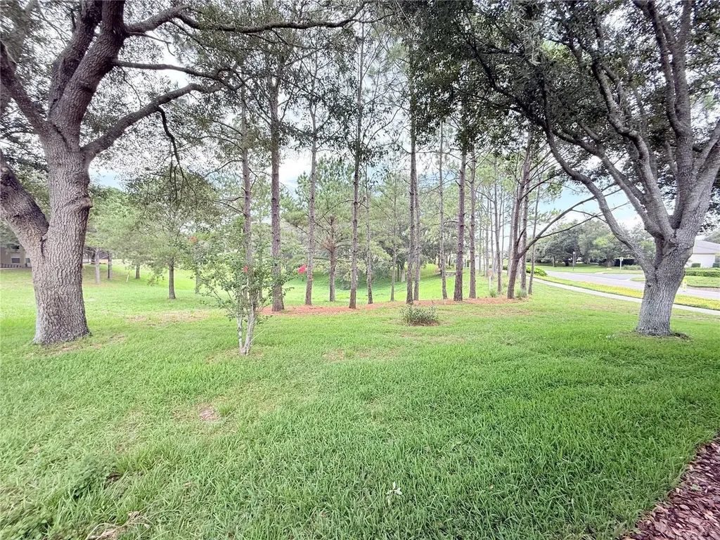 265 Center Oak Circle Spring Hill FL 34609
