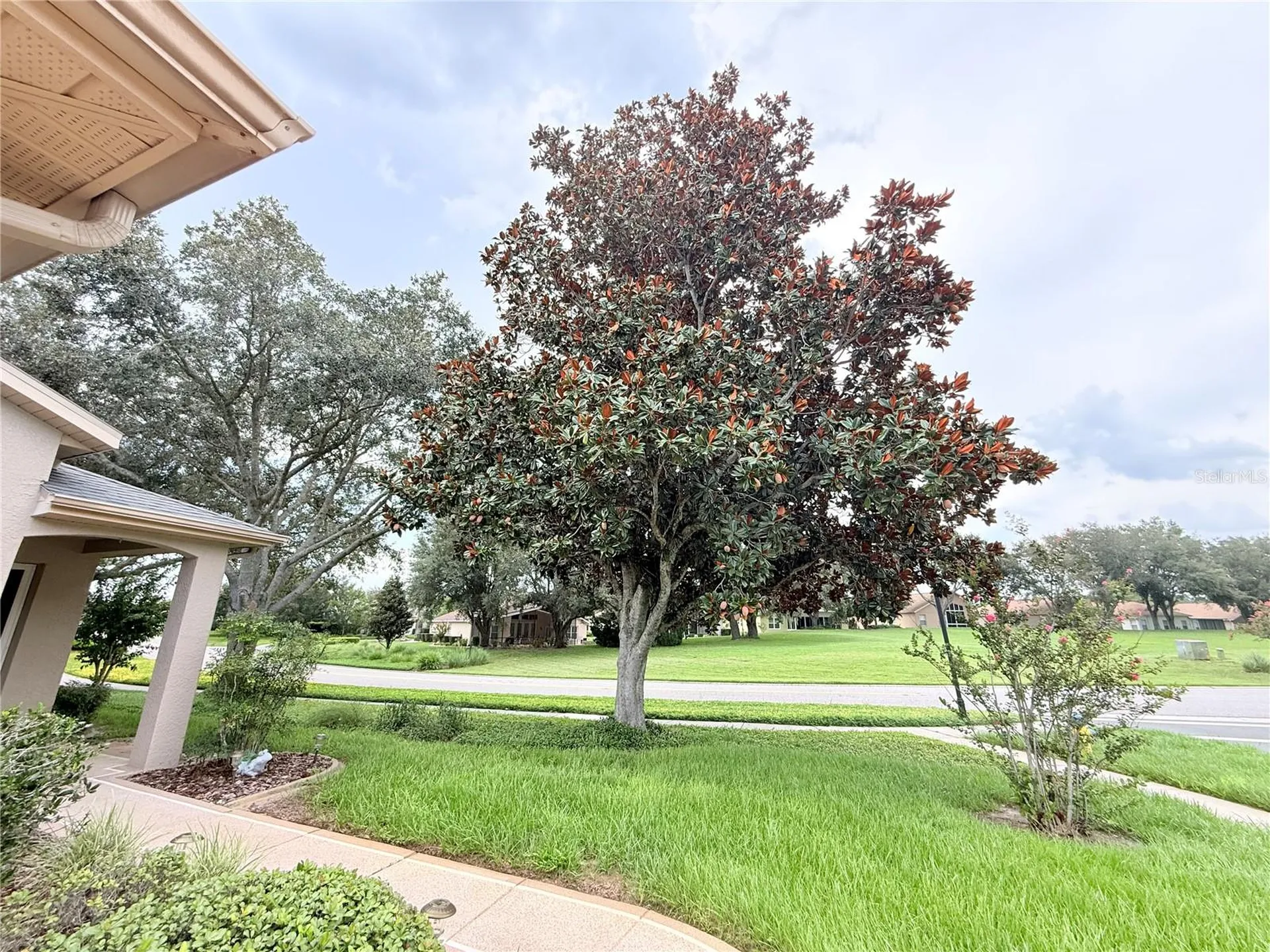 265 Center Oak Circle Spring Hill FL 34609