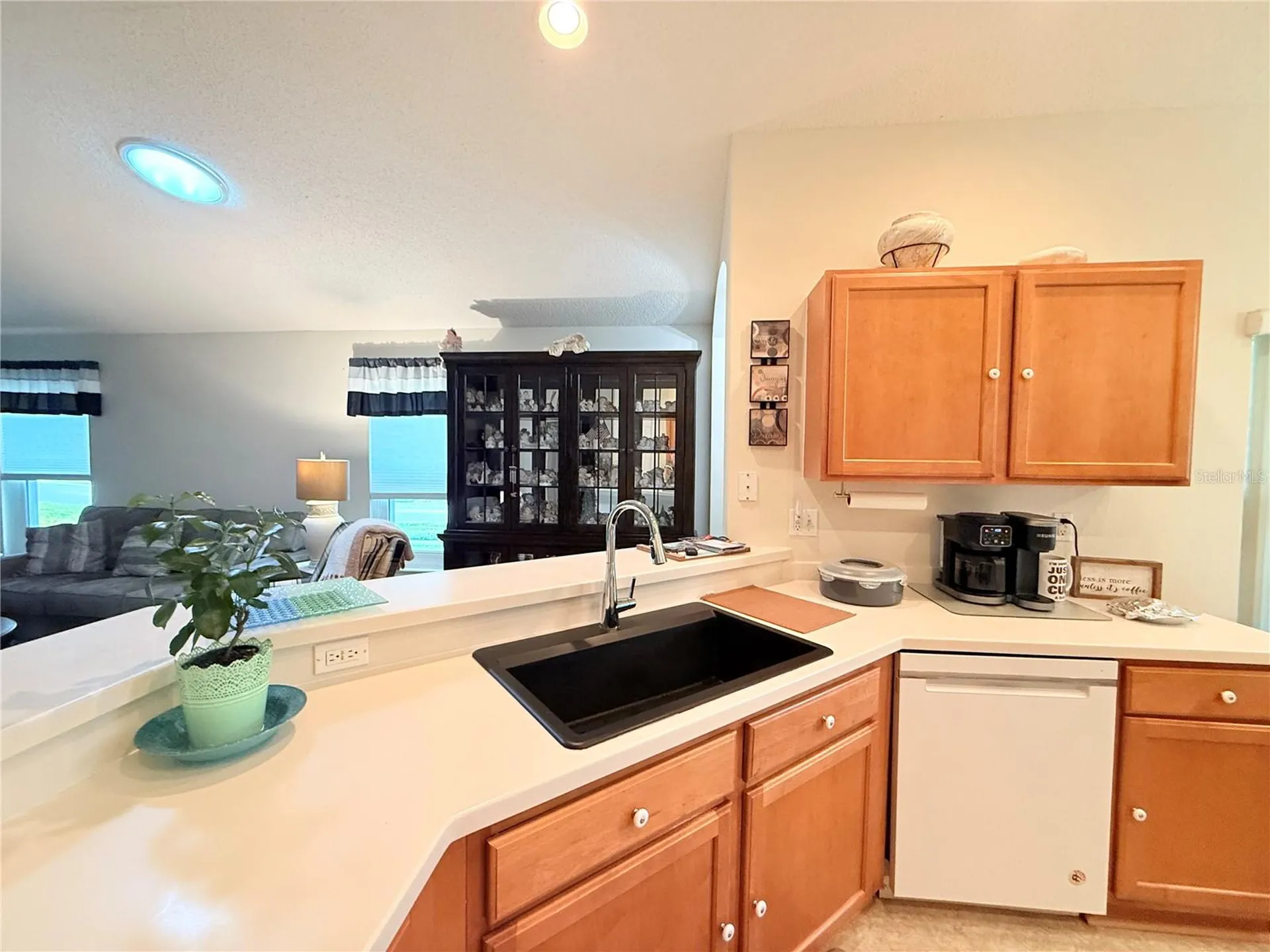 265 Center Oak Circle Spring Hill FL 34609