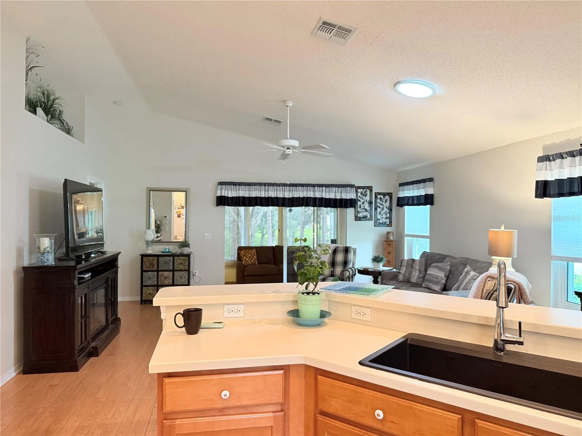 265 Center Oak Circle Spring Hill FL 34609