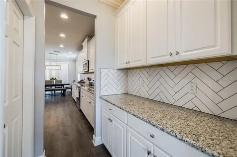 11301 Alachua Creek Lane Riverview FL 33579