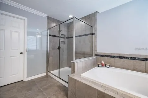 11301 Alachua Creek Lane Riverview FL 33579