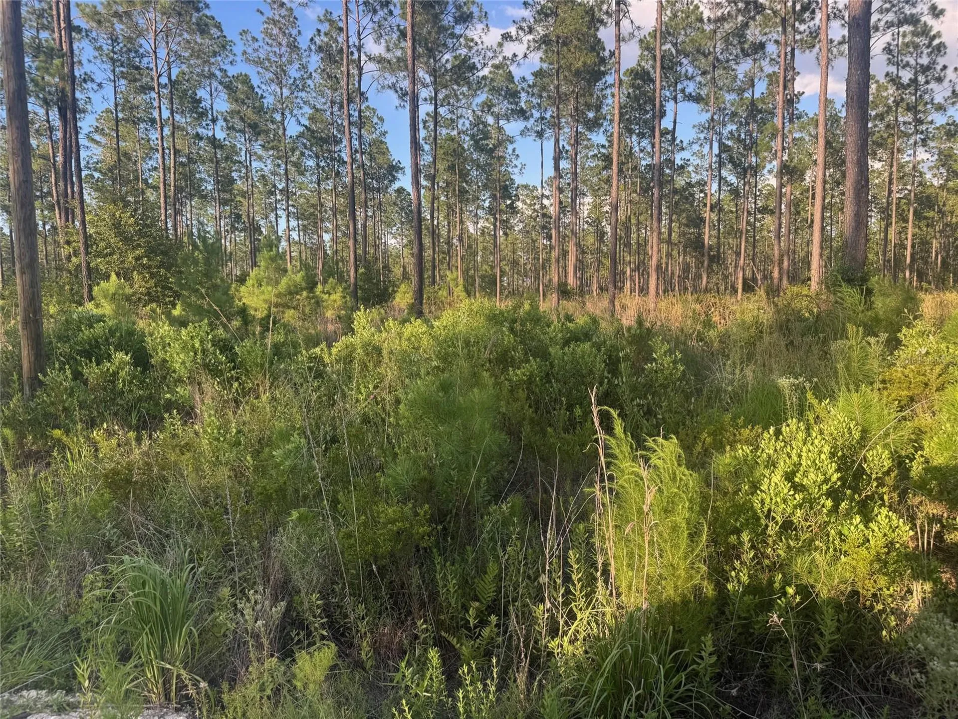Tbd NW Cr 235 Lake Butler FL 32054