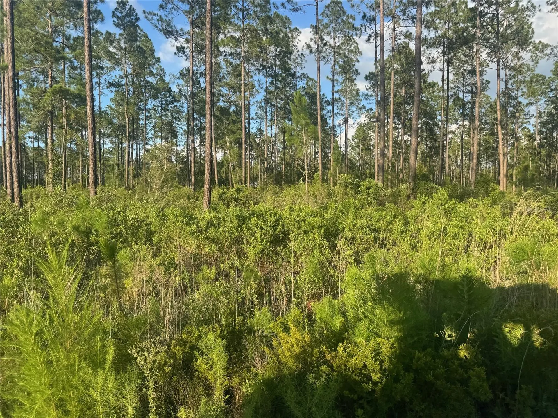 Tbd NW Cr 235 Lake Butler FL 32054