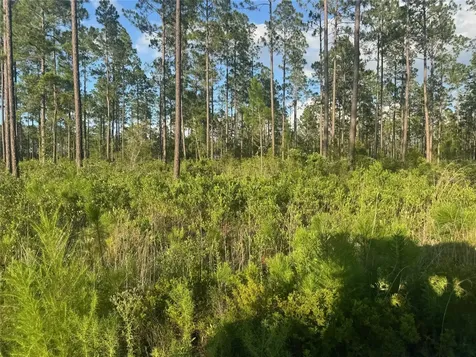 Tbd NW Cr 235 Lake Butler FL 32054
