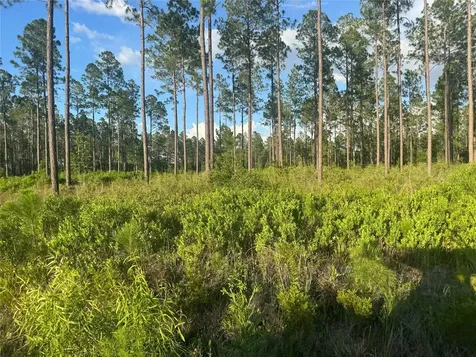 Tbd NW Cr 235 Lake Butler FL 32054