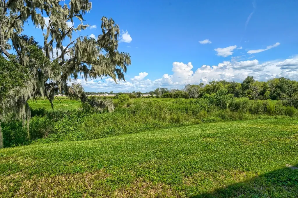 2332 Citrus Bloom Drive Bartow FL 33830