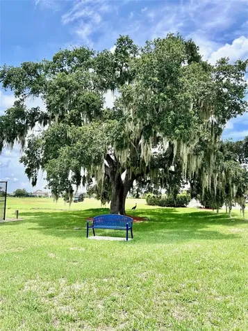 2300 The Oaks Boulevard Kissimmee FL 34746