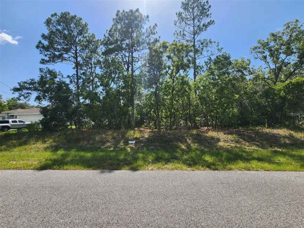 9712 N Lovell Drive Dunnellon FL 34433