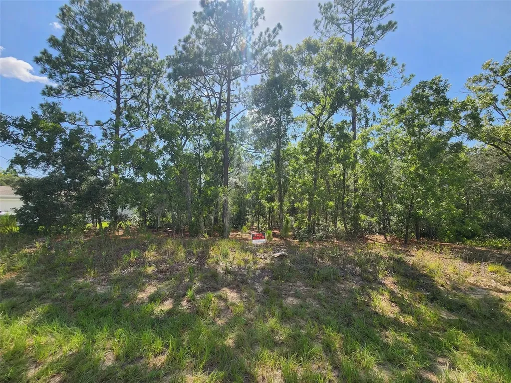 9712 N Lovell Drive Dunnellon FL 34433