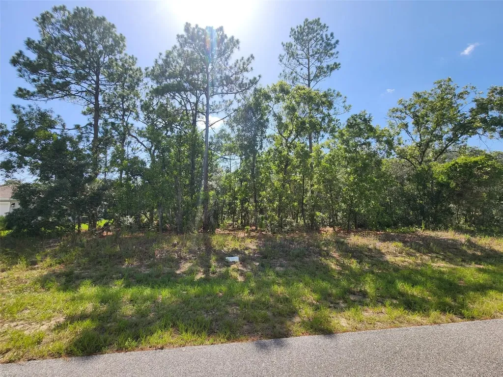 9712 N Lovell Drive Dunnellon FL 34433