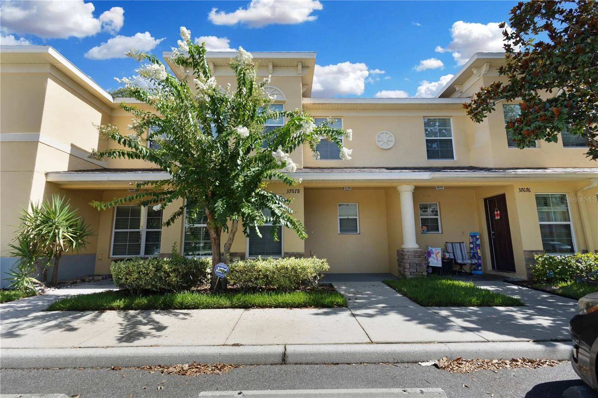 37678 Aaralyn Road Zephyrhills FL 33542