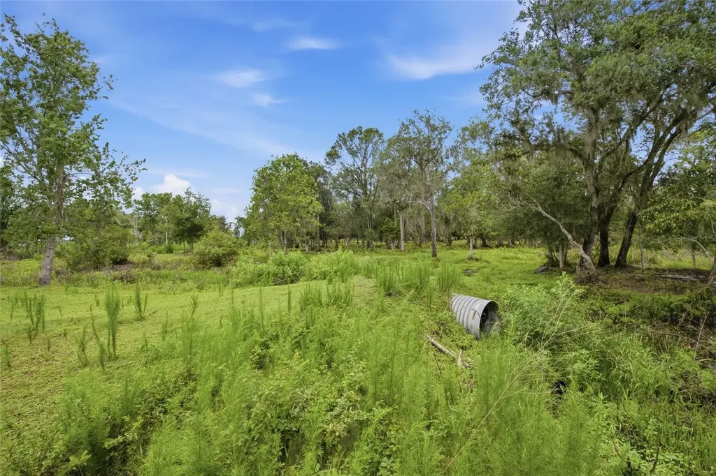 10066 Mizell Road Myakka City FL 34251