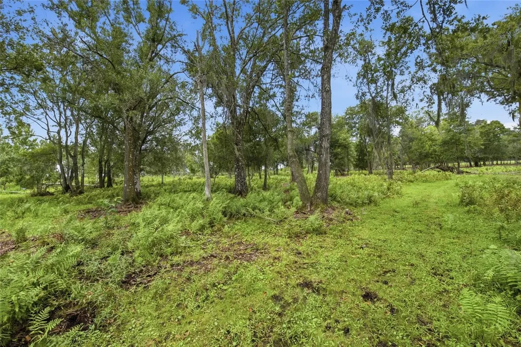 10066 Mizell Road Myakka City FL 34251