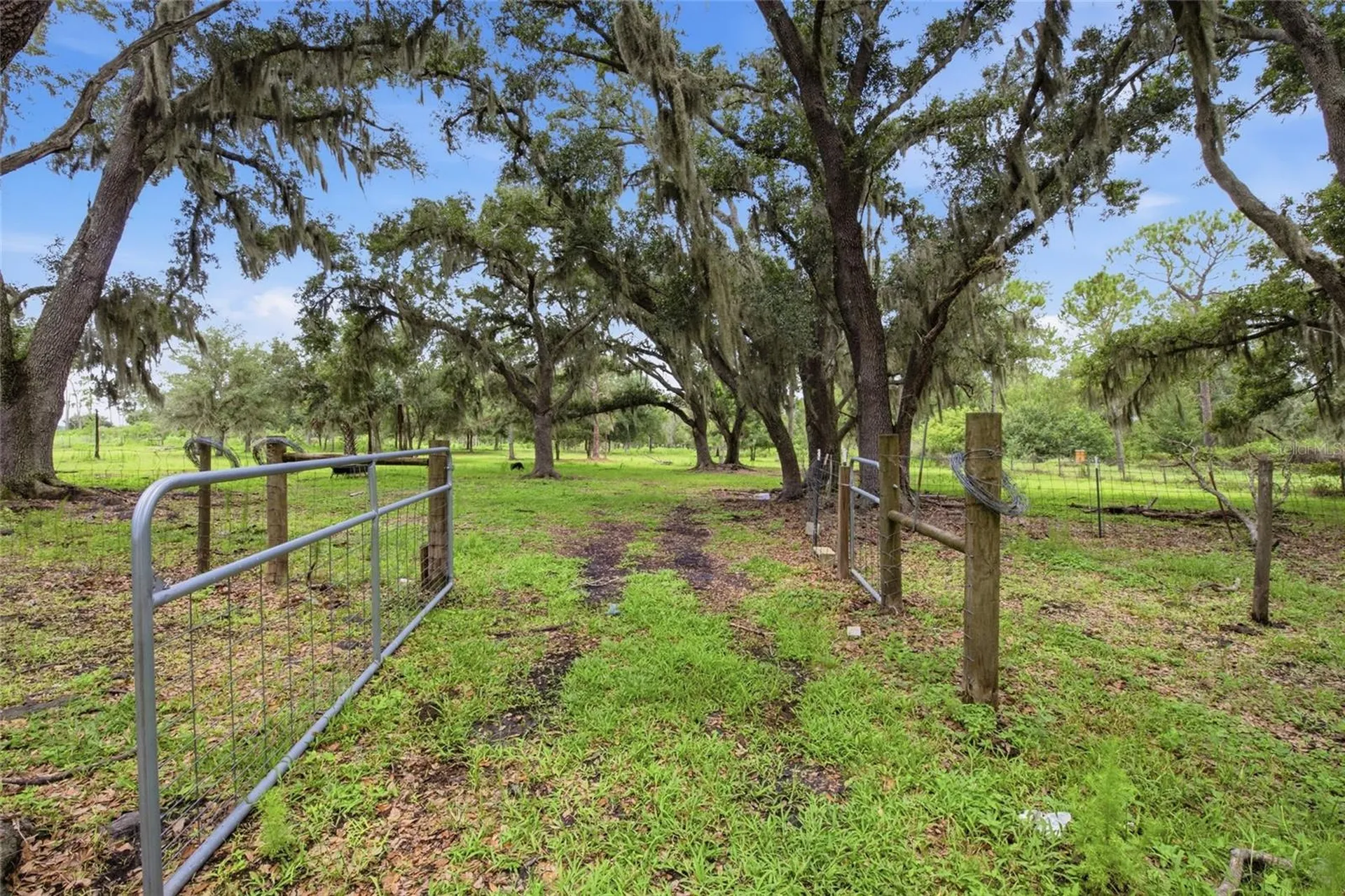 10066 Mizell Road Myakka City FL 34251