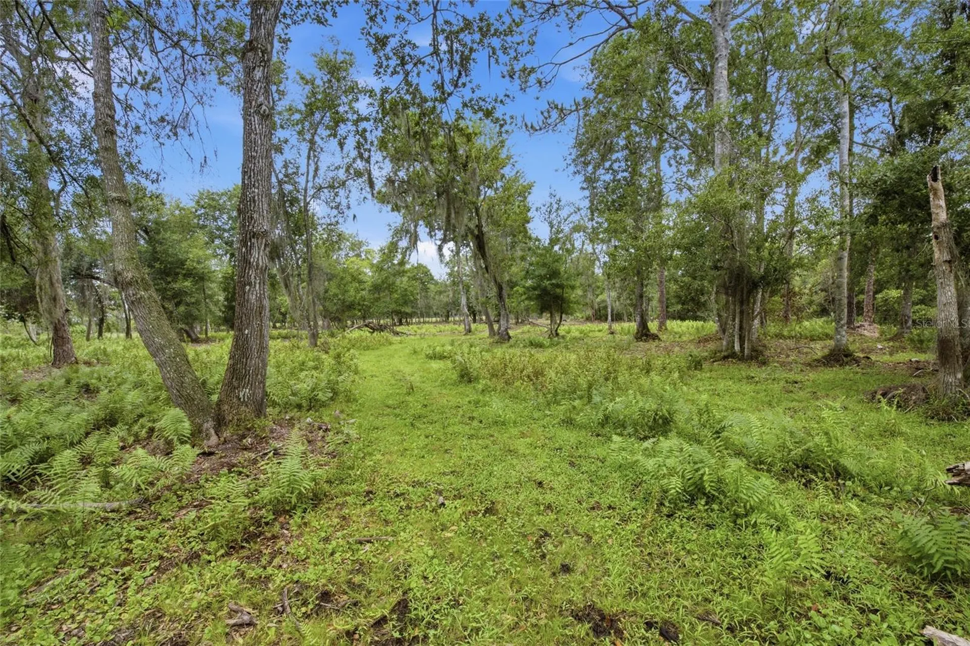 10066 Mizell Road Myakka City FL 34251