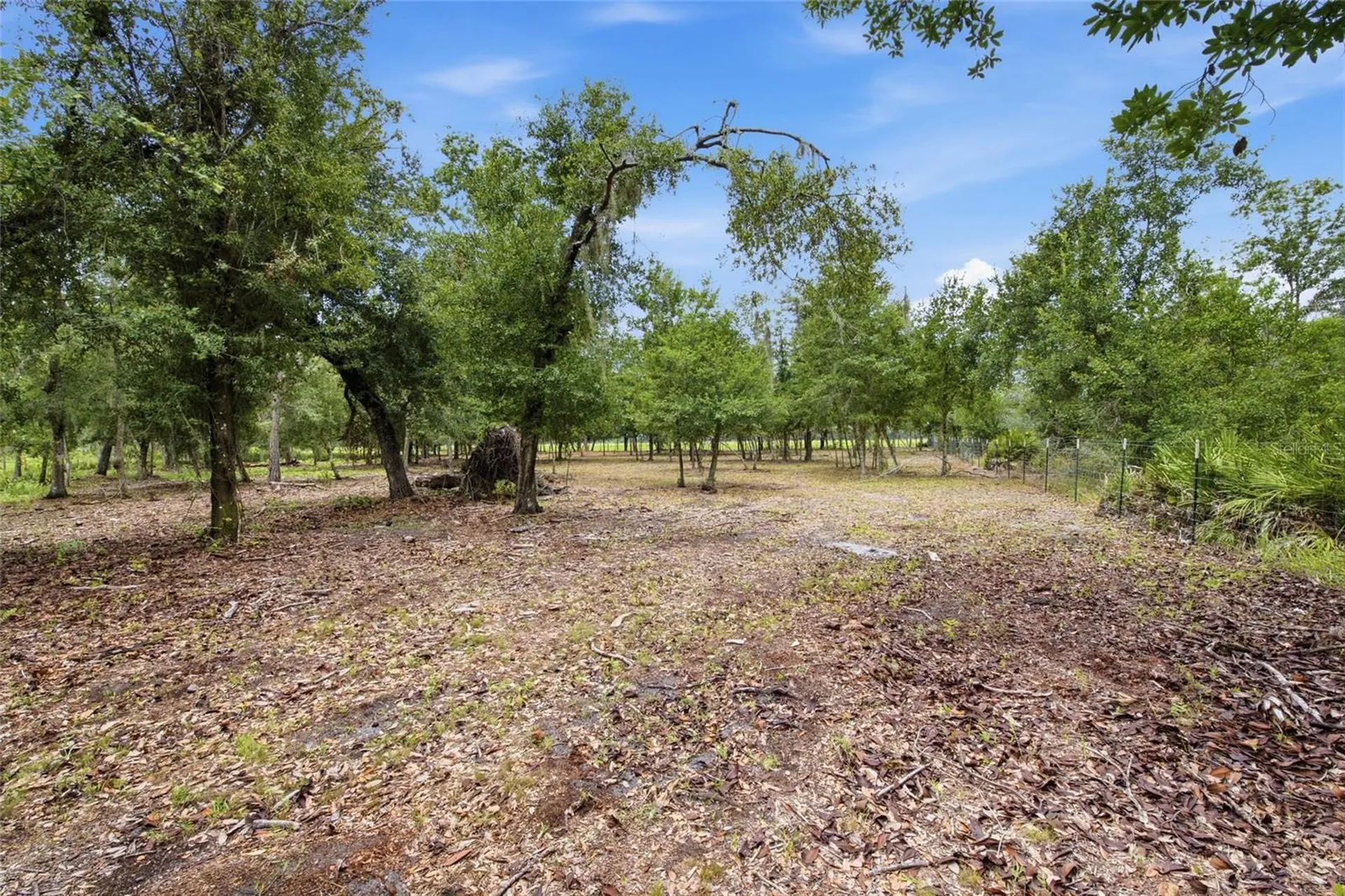 10066 Mizell Road Myakka City FL 34251