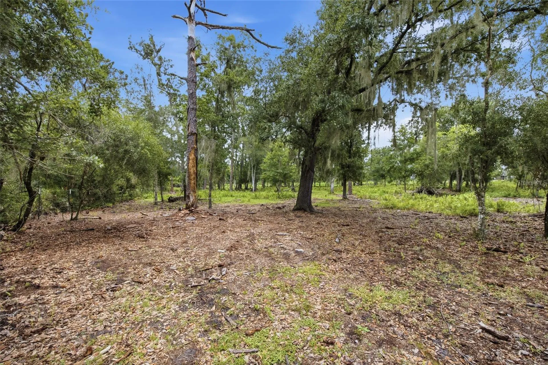 10066 Mizell Road Myakka City FL 34251