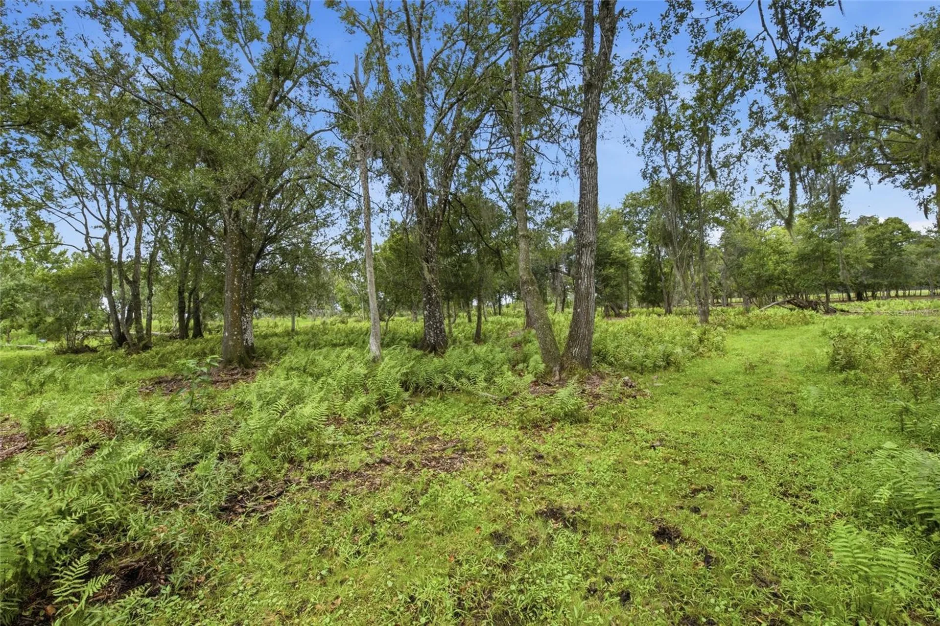 10066 Mizell Road Myakka City FL 34251