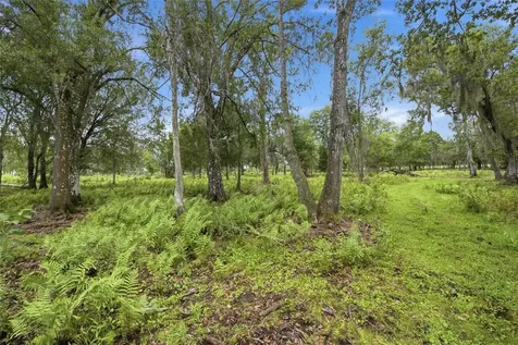 10066 Mizell Road Myakka City FL 34251