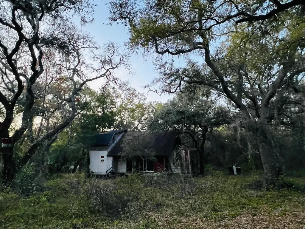 19435 SE 92nd Place Ocklawaha FL 32179