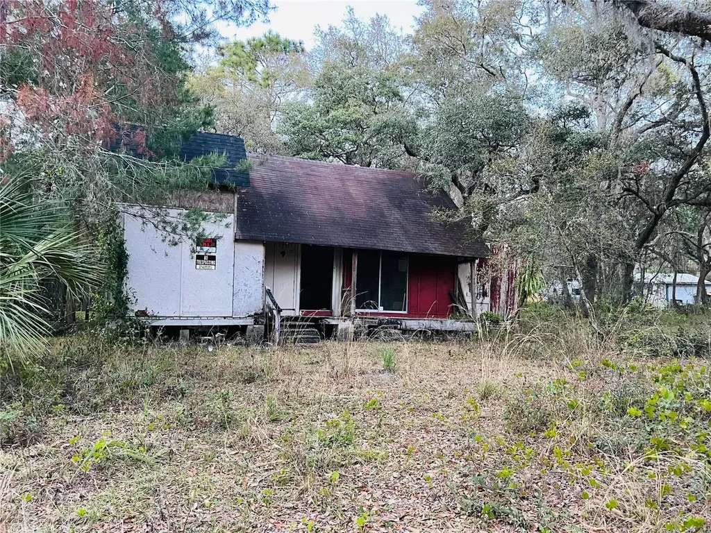 19435 SE 92nd Place Ocklawaha FL 32179